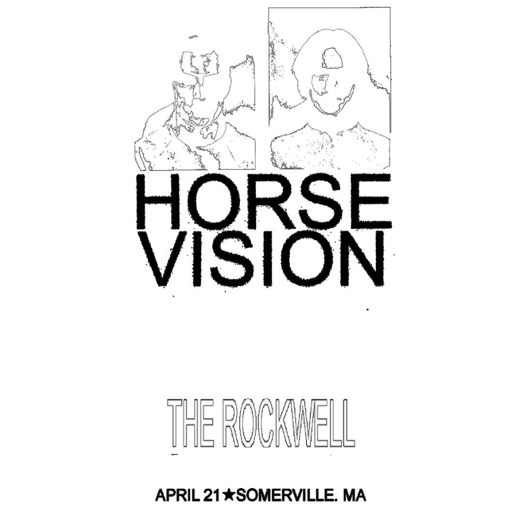 Horse Vision